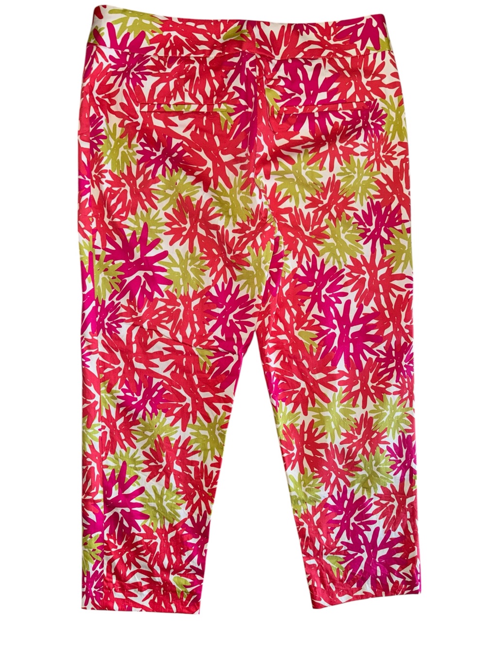 Cappagallo Floral Capri Pants Women’s Size 6 Pink Green Tropical Crop Stretch